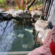 ヒメ日記 2026/01/19 23:18 投稿 さよ 品川ミセスアロマ（ユメオト）