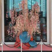 ヒメ日記 2026/03/11 09:28 投稿 さよ 品川ミセスアロマ（ユメオト）