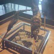 ヒメ日記 2026/03/24 09:35 投稿 さよ 品川ミセスアロマ（ユメオト）