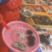 ヒメ日記 2026/05/11 23:33 投稿 さよ 品川ミセスアロマ（ユメオト）