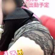 ヒメ日記 2024/12/25 19:41 投稿 しろ 白いぽっちゃりさん錦糸町店