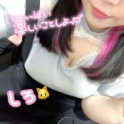 ヒメ日記 2024/12/26 11:02 投稿 しろ 白いぽっちゃりさん錦糸町店