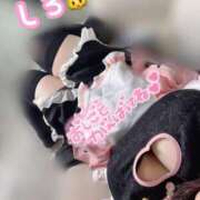 ヒメ日記 2025/03/18 08:17 投稿 しろ 白いぽっちゃりさん錦糸町店