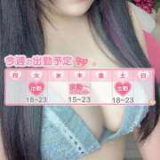 ヒメ日記 2025/04/22 01:07 投稿 しろ 白いぽっちゃりさん錦糸町店