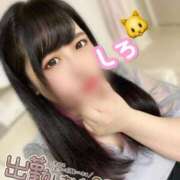 しろ むちゅー😘 白いぽっちゃりさん錦糸町店