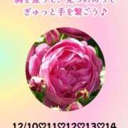 ヒメ日記 2024/12/14 07:31 投稿 瀬戸麻莉子 プレジデントハウス