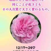 ヒメ日記 2024/12/24 07:03 投稿 瀬戸麻莉子 プレジデントハウス