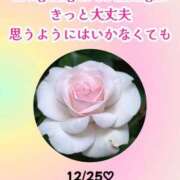 ヒメ日記 2024/12/25 07:31 投稿 瀬戸麻莉子 プレジデントハウス