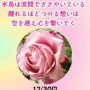 ヒメ日記 2024/12/30 08:30 投稿 瀬戸麻莉子 プレジデントハウス