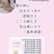 ヒメ日記 2025/11/03 08:30 投稿 瀬戸麻莉子 プレジデントハウス