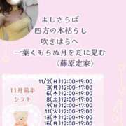 ヒメ日記 2025/11/04 07:30 投稿 瀬戸麻莉子 プレジデントハウス