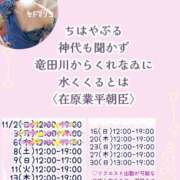 ヒメ日記 2025/11/07 07:30 投稿 瀬戸麻莉子 プレジデントハウス