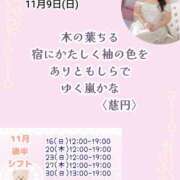 ヒメ日記 2025/11/09 07:30 投稿 瀬戸麻莉子 プレジデントハウス