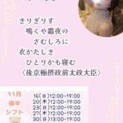 ヒメ日記 2025/11/11 07:30 投稿 瀬戸麻莉子 プレジデントハウス