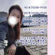 ヒメ日記 2025/11/15 23:32 投稿 瀬戸麻莉子 プレジデントハウス