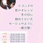 ヒメ日記 2025/11/16 08:01 投稿 瀬戸麻莉子 プレジデントハウス