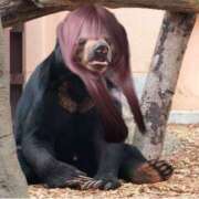 ヒメ日記 2025/02/20 00:20 投稿 めぐる おいらん(池袋)