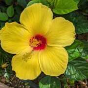 ヒメ日記 2025/04/18 18:36 投稿 大久保安子 五十路マダム静岡店（カサブランカG）