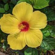 ヒメ日記 2026/01/26 20:08 投稿 大久保安子 五十路マダム静岡店（カサブランカG）