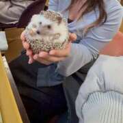 ヒメ日記 2025/04/04 22:36 投稿 はるか すごいエステ 名古屋店