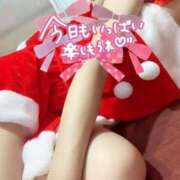 ヒメ日記 2024/12/24 09:46 投稿 サクラ【容姿端麗なおっとり系】 バニーコレクション 中洲店