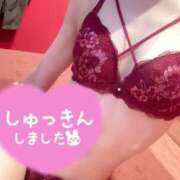 ヒメ日記 2025/01/09 10:15 投稿 サクラ【容姿端麗なおっとり系】 バニーコレクション 中洲店