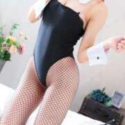 ヒメ日記 2025/03/08 10:00 投稿 サクラ【容姿端麗なおっとり系】 バニーコレクション 中洲店