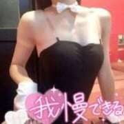 ヒメ日記 2026/02/20 15:50 投稿 サクラ【容姿端麗なおっとり系】 バニーコレクション 中洲店