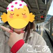 ヒメ日記 2025/04/03 16:40 投稿 杉浦ここあ 五十路マダム　和歌山店