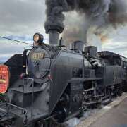 ヒメ日記 2025/11/29 15:34 投稿 杉浦ここあ 五十路マダム　和歌山店