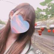 ヒメ日記 2025/05/03 13:41 投稿 めい 熟女の風俗最終章 新潟店