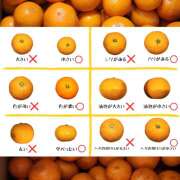 ヒメ日記 2024/12/23 21:03 投稿 みかん 即アポ奥さん ～津・松阪店～