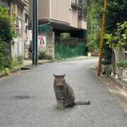 ヒメ日記 2025/05/06 17:05 投稿 ミア ソープランドMAX‐マックス- 浅草店