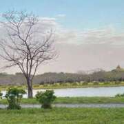 ヒメ日記 2025/10/11 17:05 投稿 ミア ソープランドMAX‐マックス- 浅草店