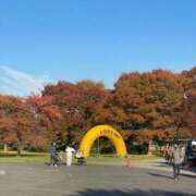 ヒメ日記 2025/11/25 18:16 投稿 ミア ソープランドMAX‐マックス- 浅草店