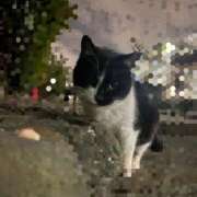 ヒメ日記 2026/03/01 14:17 投稿 ミア ソープランドMAX‐マックス- 浅草店