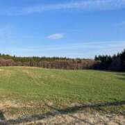 ヒメ日記 2026/04/20 09:02 投稿 ミア ソープランドMAX‐マックス-