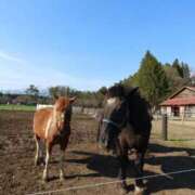 ヒメ日記 2026/04/21 09:12 投稿 ミア ソープランドMAX‐マックス-