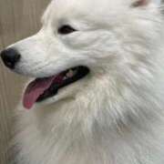 ヒメ日記 2025/04/10 16:07 投稿 なつき MIKADO