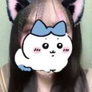 ヒメ日記 2025/01/13 00:14 投稿 いのり ビデオDEはんど 名古屋校