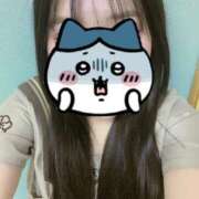 ヒメ日記 2025/03/12 00:34 投稿 いのり ビデオDEはんど 名古屋校