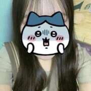 ヒメ日記 2025/03/15 19:16 投稿 いのり ビデオDEはんど 名古屋校