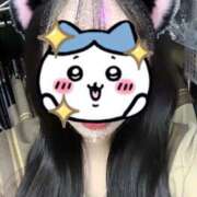 ヒメ日記 2025/03/22 18:34 投稿 いのり ビデオDEはんど 名古屋校