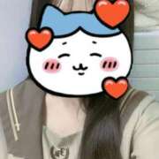 ヒメ日記 2025/04/28 01:04 投稿 いのり ビデオDEはんど 名古屋校