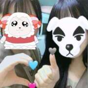 ヒメ日記 2025/05/25 01:14 投稿 いのり ビデオDEはんど 名古屋校