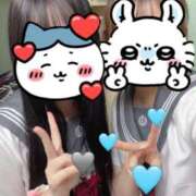 ヒメ日記 2025/06/08 00:44 投稿 いのり ビデオDEはんど 名古屋校