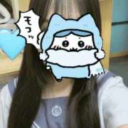 ヒメ日記 2025/10/03 00:35 投稿 いのり ビデオDEはんど 名古屋校