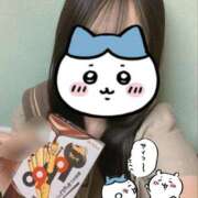 ヒメ日記 2025/11/12 00:05 投稿 いのり ビデオDEはんど 名古屋校