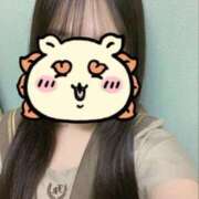 ヒメ日記 2025/11/19 00:05 投稿 いのり ビデオDEはんど 名古屋校