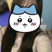 ヒメ日記 2025/11/24 01:15 投稿 いのり ビデオDEはんど 名古屋校